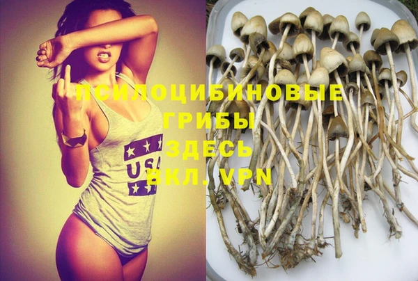 прущая мука Верхний Тагил