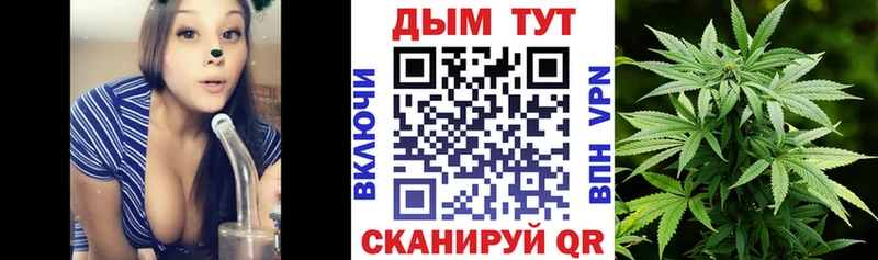 Конопля тримм где продают Инта